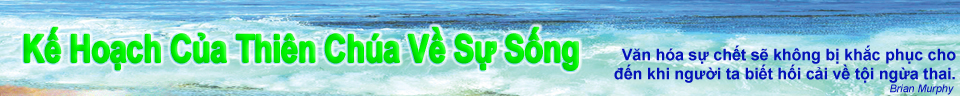 headerwavessmall
